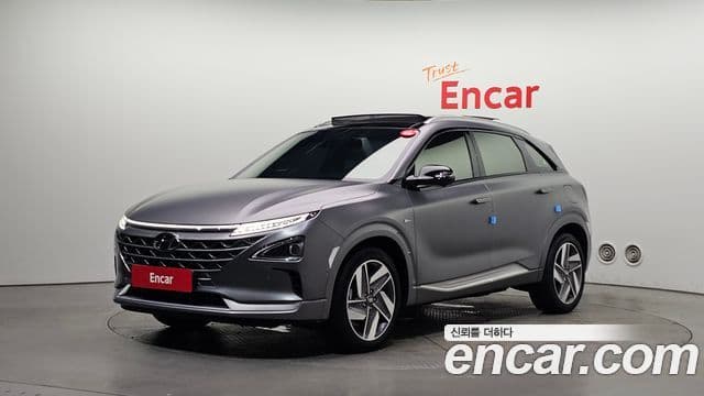 2021 Hyundai (Хёндэ) Nexo