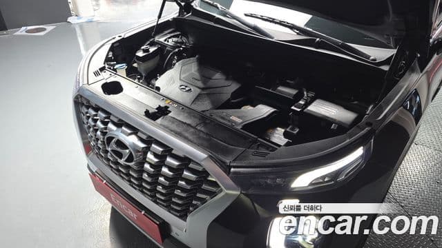 2020 Hyundai (Хёндэ) Palisade — миниатюра 5