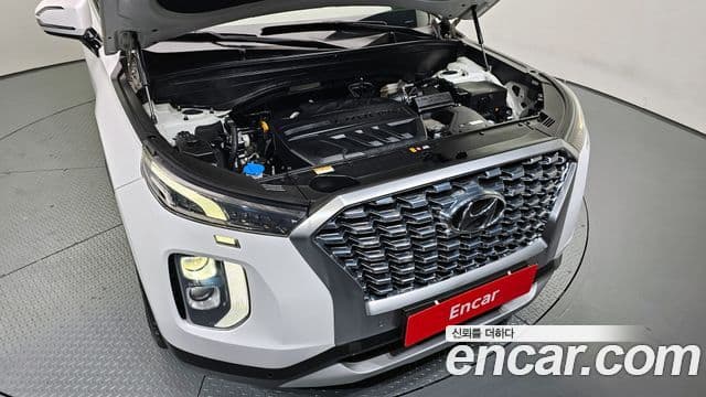 2020 Hyundai (Хёндэ) Palisade — миниатюра 10