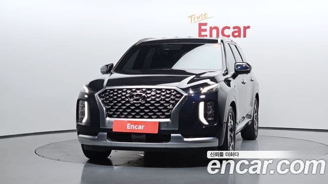 2020 Hyundai (Хёндэ) Palisade — миниатюра 7