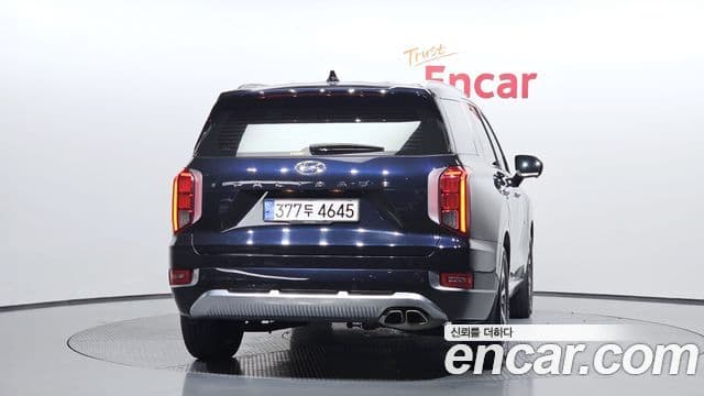 2020 Hyundai (Хёндэ) Palisade — миниатюра 9