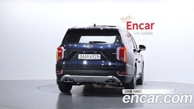 2020 Hyundai (Хёндэ) Palisade — миниатюра 6