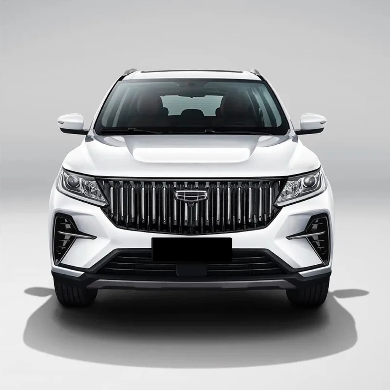 2020 Geely (Джили) Livan X6
